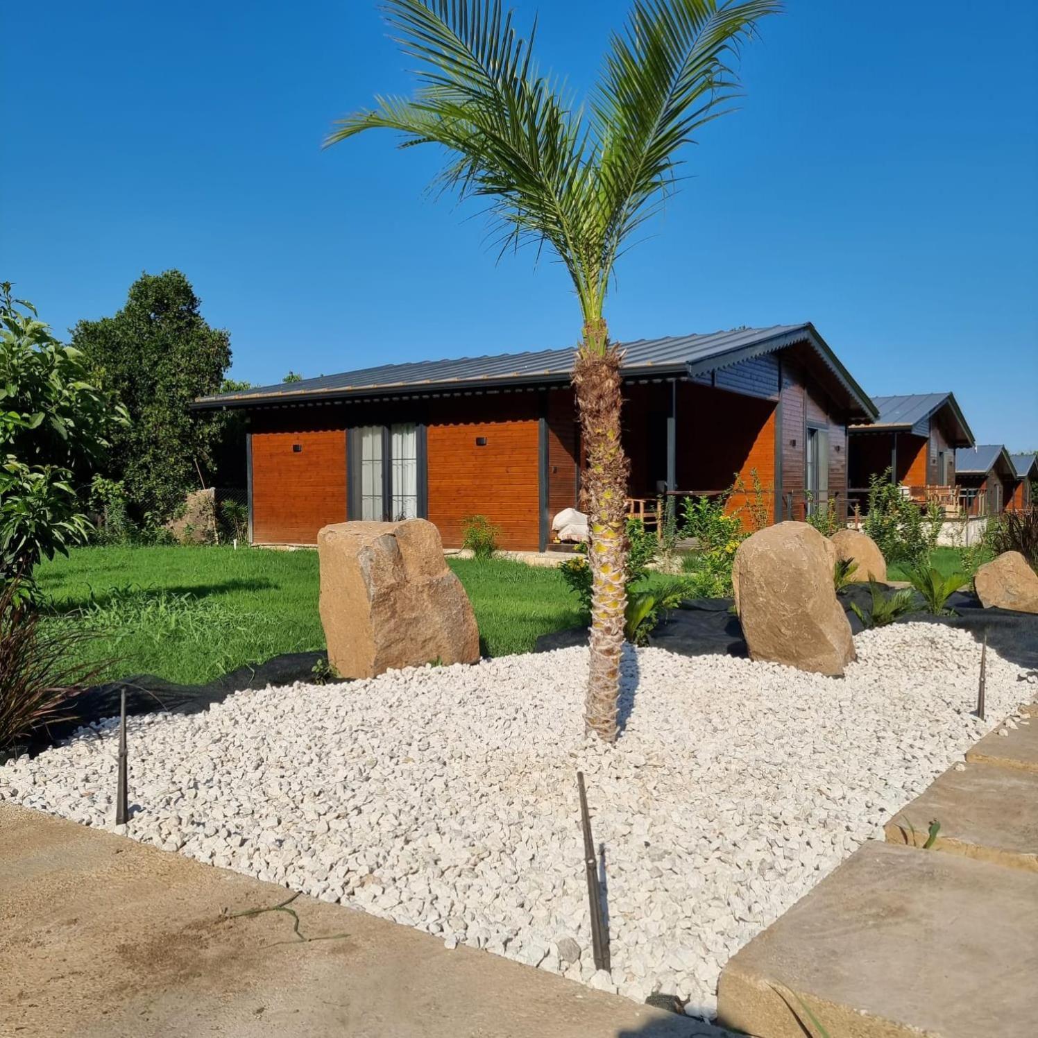 Cirali Simge Holiday Houses מראה חיצוני תמונה