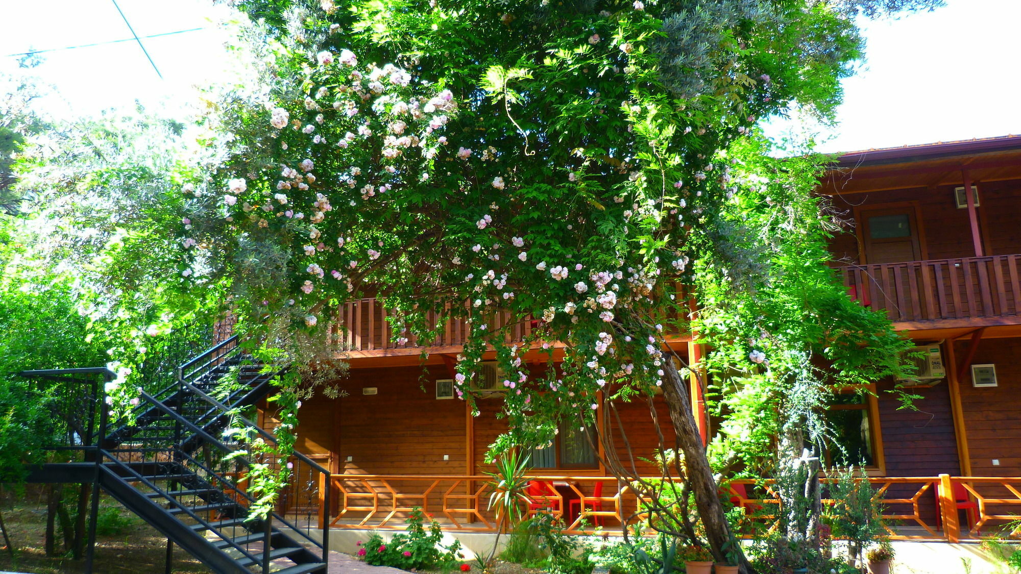 Cirali Simge Holiday Houses מראה חיצוני תמונה