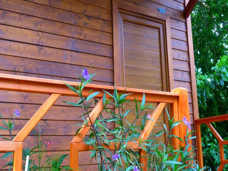 Cirali Simge Holiday Houses מראה חיצוני תמונה